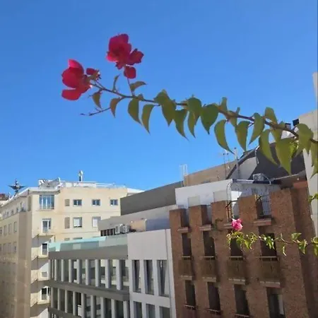 Lovelyloft San Fernando 32 * Alicante